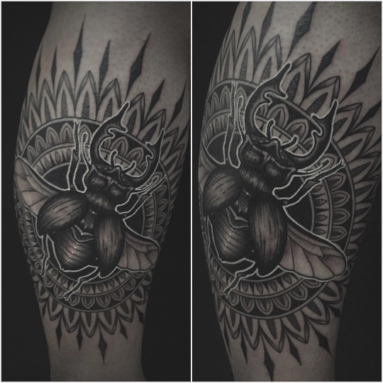 tumblr_nzq5t4nEte1tq3pobo1_540