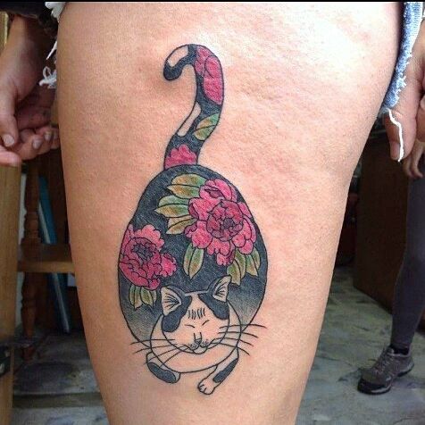 cat Sebastian Giraldo Nieto