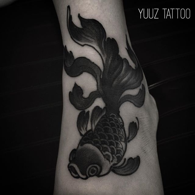 12062999_1703559543210280_707249772_n