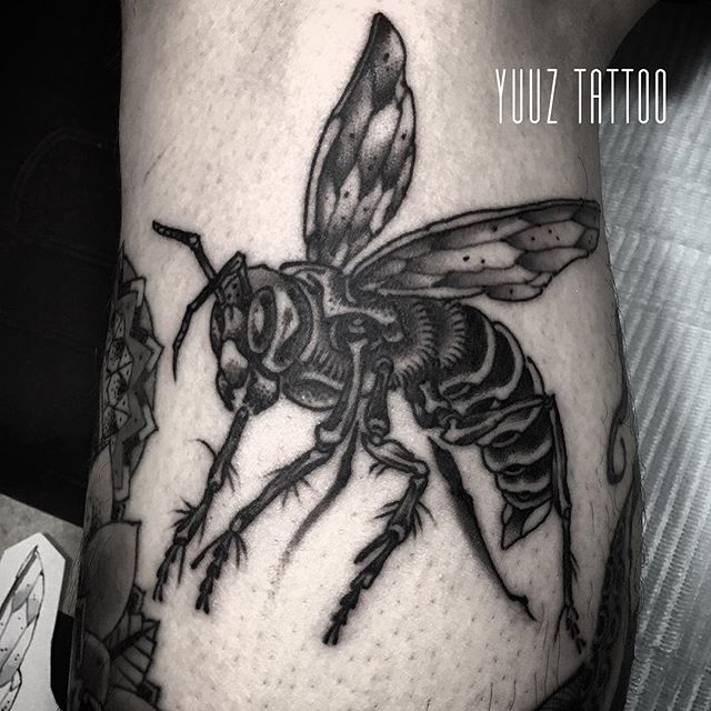 12142601_721763907954046_32417341_n