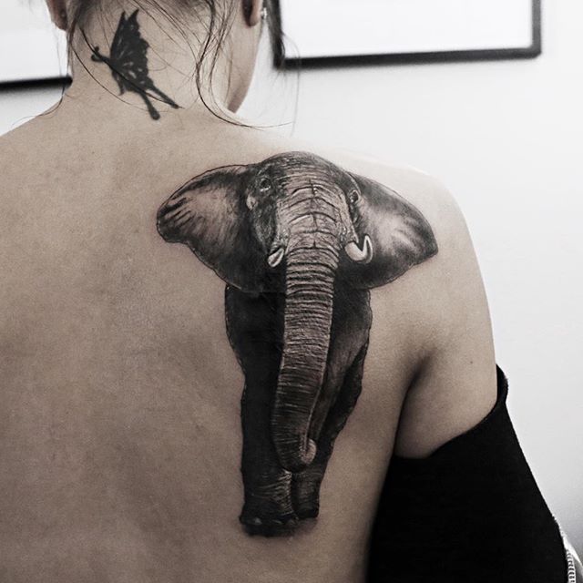 22430542_1755710261398841_6954784767967494144_n