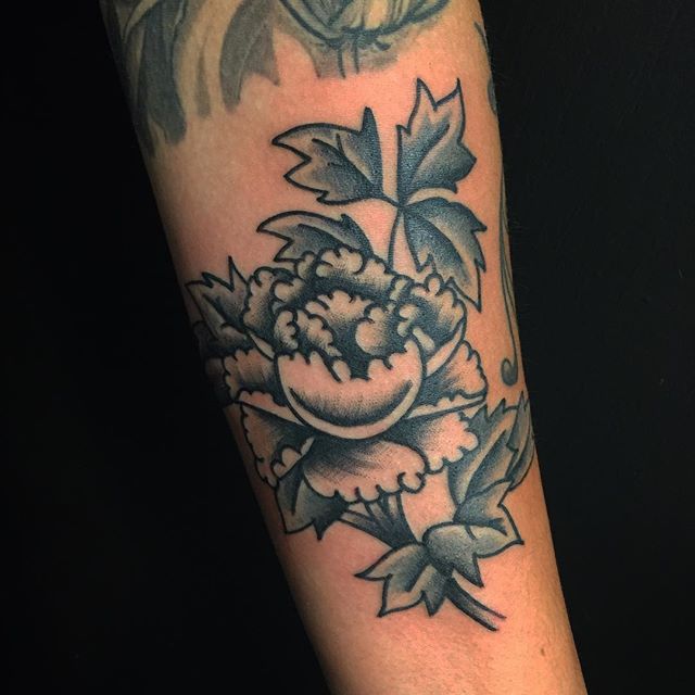 19985345_618559188351668_8587405182680170496_n