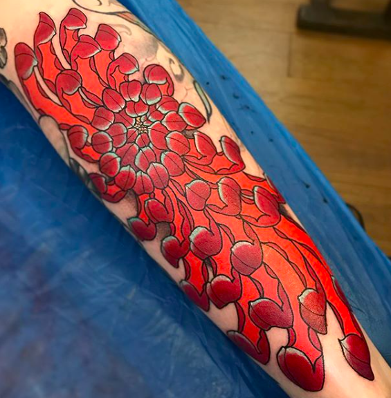 Screen Shot 2018-10-09 at 3.38.53 PM