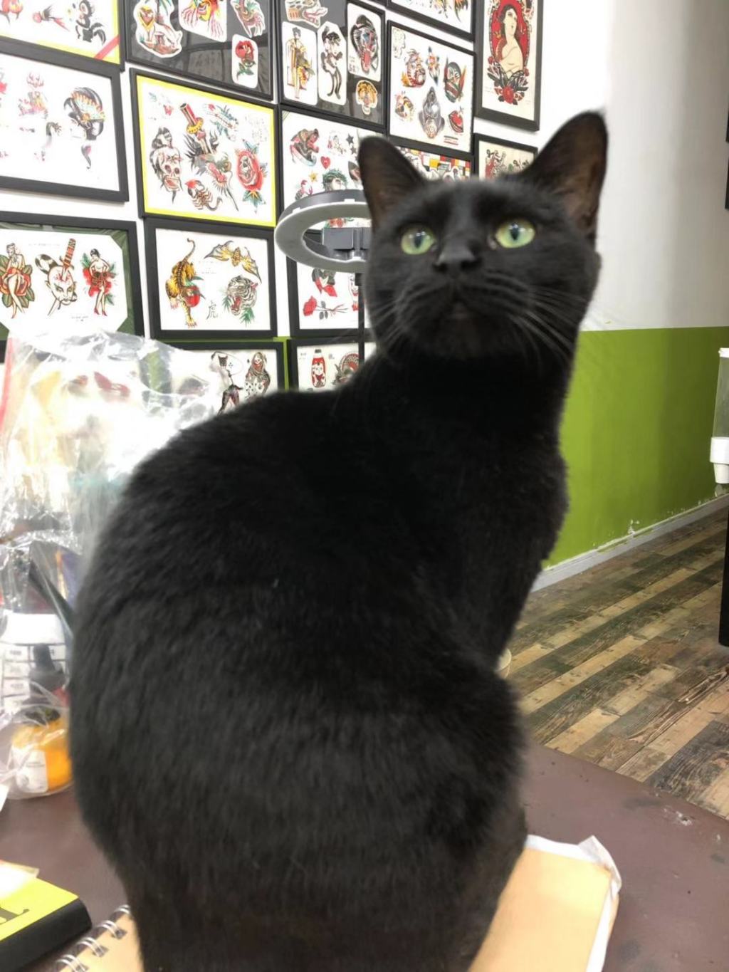 Getting a Tattoo in&nbsp;China: